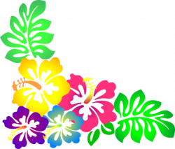 Hawaiian flower clipart border - WikiClipArt