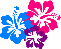 Free Hawaiian Flowers Transparent, Download Free Clip Art ...