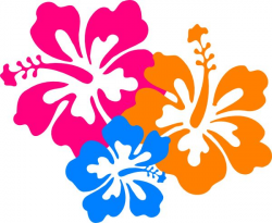 Collection of Luau clipart | Free download best Luau clipart ...