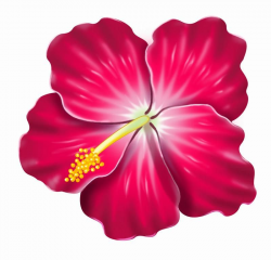 pink hibiscus clip art | Clipart Illustration Of A Yellow ...