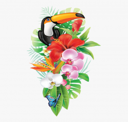 Hawaiian Clipart Tropical Bird - Tropical Png #193804 - Free ...