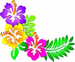 Hawaiian Clip Art Borders | Hibiscus Corner clip art | PNG ...