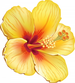 Тропические | Moana | Flower clipart, Fruit painting, Flower art