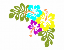 Clipart Flower Free Hawaiian - Hibiscus Clip Art Free PNG ...