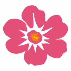 Pink hawaiian flower - Transparent PNG & SVG vector