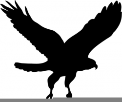 Black Hawk Clipart | Free Images at Clker.com - vector clip art ...