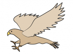 28+ Collection of Hawk Clipart Free | High quality, free cliparts ...