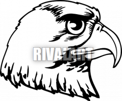 Hawk head with curved beak | Clipart Panda - Free Clipart Images