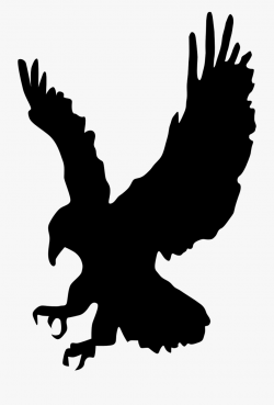 Hawk Eagle Bird Pray Landing Png Image - Hawk Clipart ...