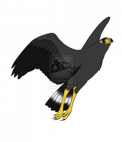 Black Hawk by zavraan.deviantart.com on @deviantART | Artsy Fartsy ...