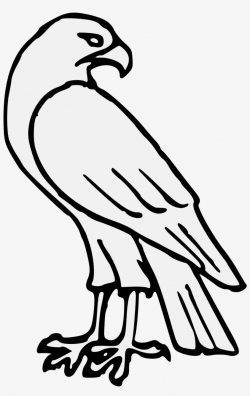Easy Hawk Drawing | Free download best Easy Hawk Drawing on ...