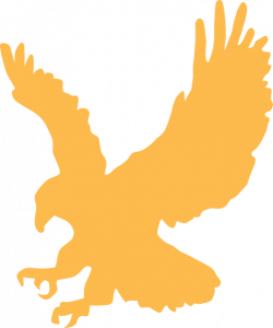 Golden Hawk | Fairy Tail Fanon Wiki | FANDOM powered by Wikia