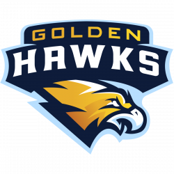 Golden Hawks - Call of Duty Esports Wiki