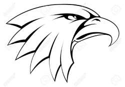 Collection Of Free Halk Clipart Hawk Head Download On ...
