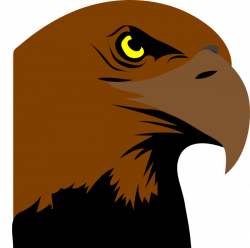 Collection of 14 free Halk clipart hawk head. Download on ubiSafe