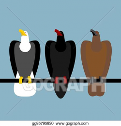 Clip Art Vector - Set eagles birds of prey. quick bald eagle ...