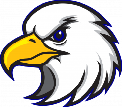 Logo Mascot Company Eagle - Hawk 1313*1153 transprent Png Free ...