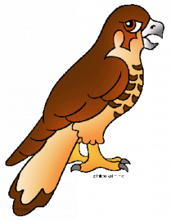 Free hawk clipart – Gclipart.com