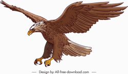 Hawk free vector download (86 Free vector) for commercial ...