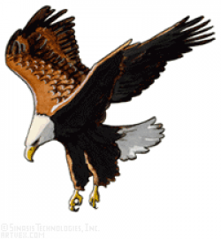 Collection of Hawks clipart | Free download best Hawks ...