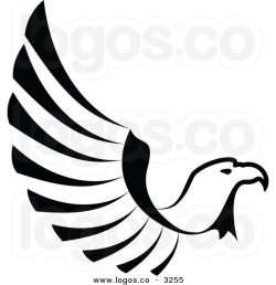 Hawk Clipart Black And White | Free download best Hawk ...