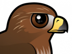 Free Red Tailed Hawk Clipart, Download Free Clip Art on ...