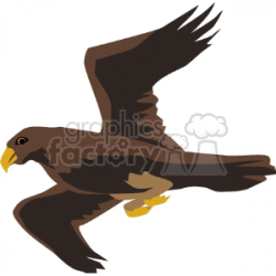 Soaring brown hawk clipart. Royalty-free clipart # 130447
