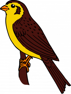 Clipart - Colored Sparrow