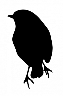 silhouette of robin | silhouette | Pinterest | Silhouette ...