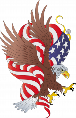 American Eagle Plumbing - Licensed Minnesota Plumbing Contractor
