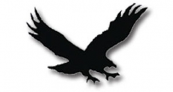 Hawk clipart 4 – Gclipart.com
