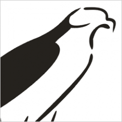 Hawk Clipart - Free Clip Art Images | Warhawks | Art images ...