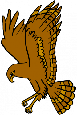 Hawk Clipart West Delaware Free collection | Download and share Hawk ...