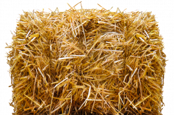 PNG Hay Transparent Hay.PNG Images. | PlusPNG