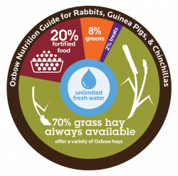 Oxbow Animal Health | Oxbow Animal Health | Rabbit Nutrition |