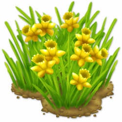 Image - Daffodils.png | Hay Day Wiki | FANDOM powered by Wikia