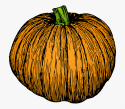 Food, Grocery, Plant, Pumpkin, Squash - Pumpkin Illustration ...
