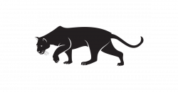 Panther PNG Transparent Free Images | PNG Only