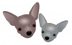 Clipart - Two Chihuahuas