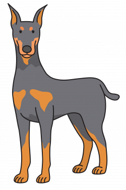dog - Doberman Icons PNG - Free PNG and Icons Downloads