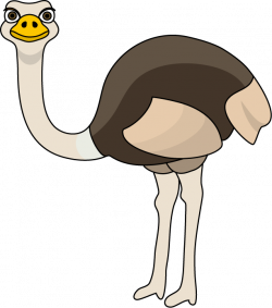 Emu Clipart Head Free collection | Download and share Emu Clipart Head