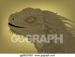 Vector Clipart - Iguana head. Vector Illustration gg56337837 ...