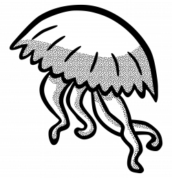 Clipart - jellyfish - lineart