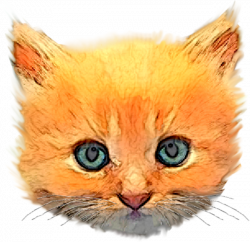 Kitten | Free Images at Clker.com - vector clip art online, royalty ...