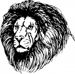 Lion 3 Clip Art at Clker.com - vector clip art online, royalty free ...