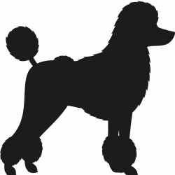 Toy Poodle Silhouette at GetDrawings.com | Free for personal use Toy ...