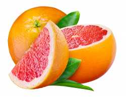 Grapefruit PNG Image - PurePNG | Free transparent CC0 PNG Image Library