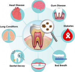 Health Clipart Medical Attention - Oral Hygiene ...