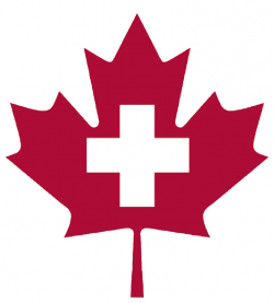 Understanding The Canadian Health Care System - Health Care ...
