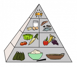 Lions in Japan: Yellow, Red and Green Foods: The Japanese Food Pyramid